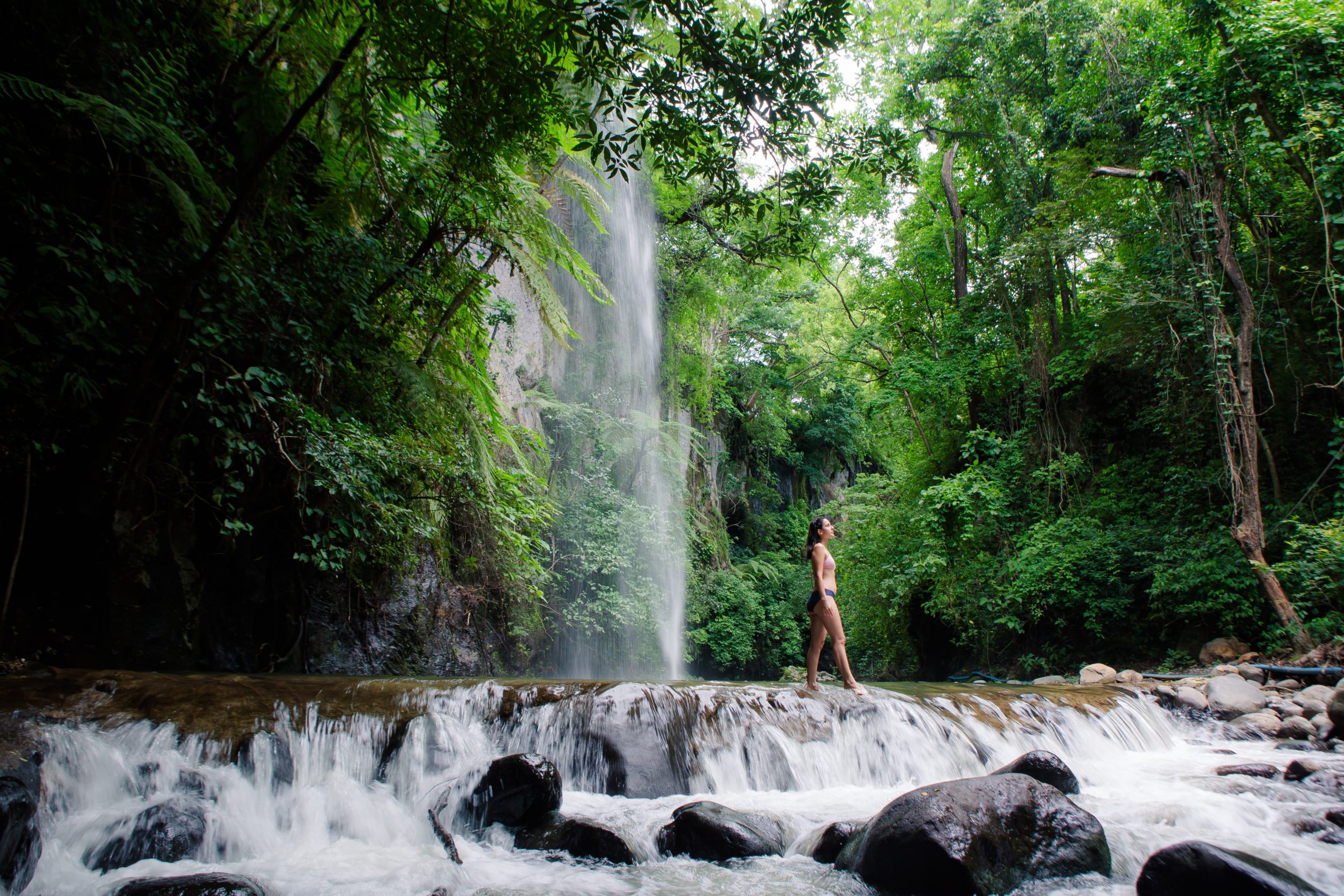 a waterfall surrounded by trees