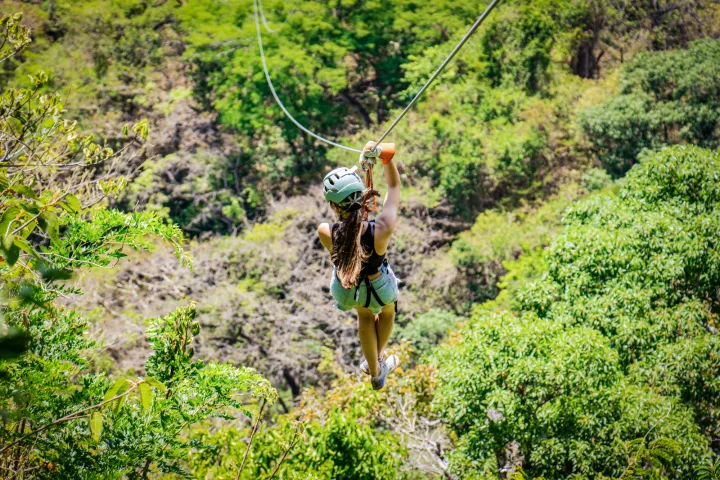 a person holding a kite while standing on a lush green forest