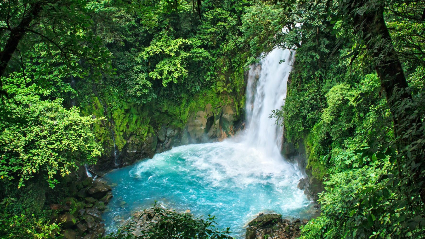 a waterfall and blue pool in the middle of the rainforest