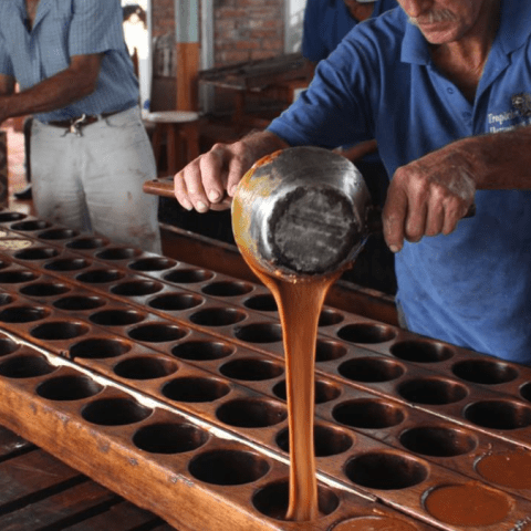 a person cutting a cake