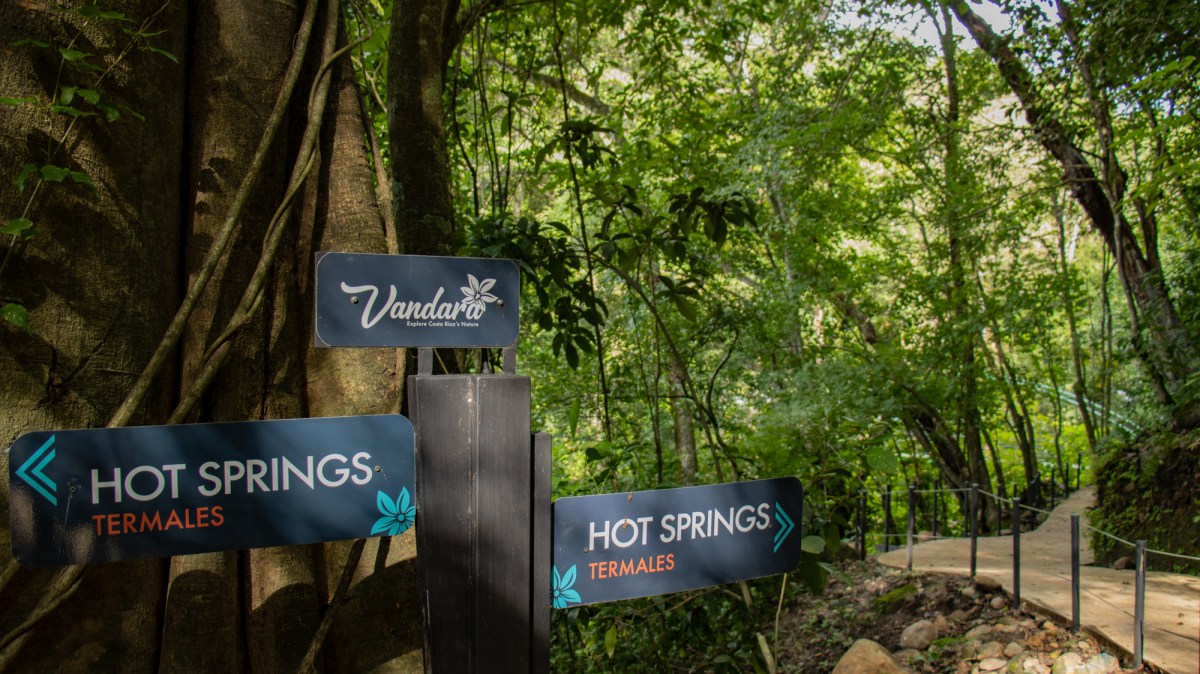 Vandara web-39 a sign hanging from a tree