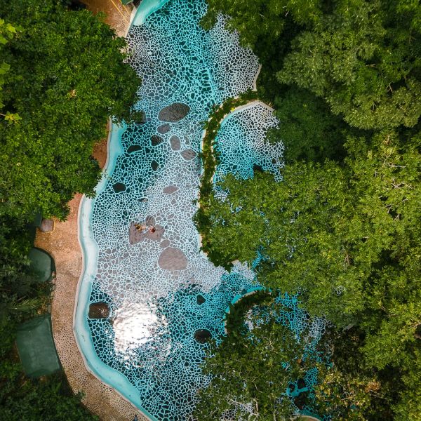 a close up of a decorated green grass