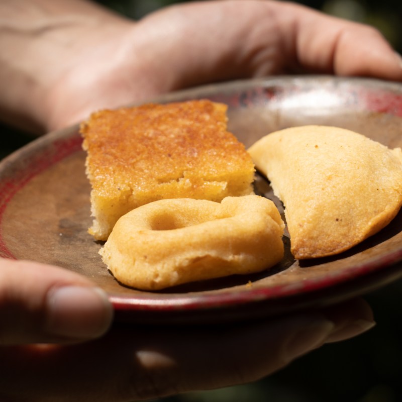 a close up of a person holding a piece of food