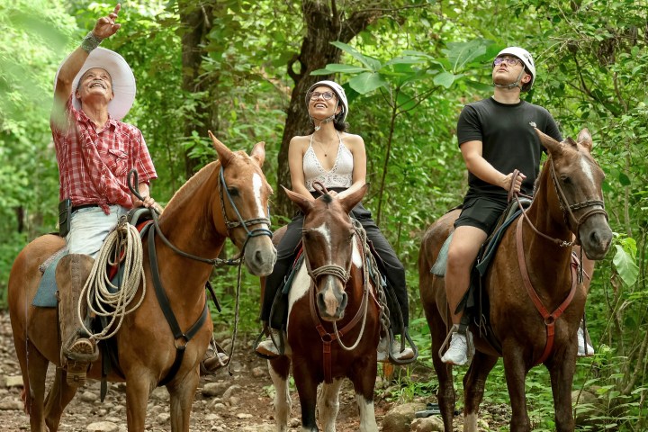 Three people on horses in a forest, one pointing upwards, all wearing hats and smiling.
