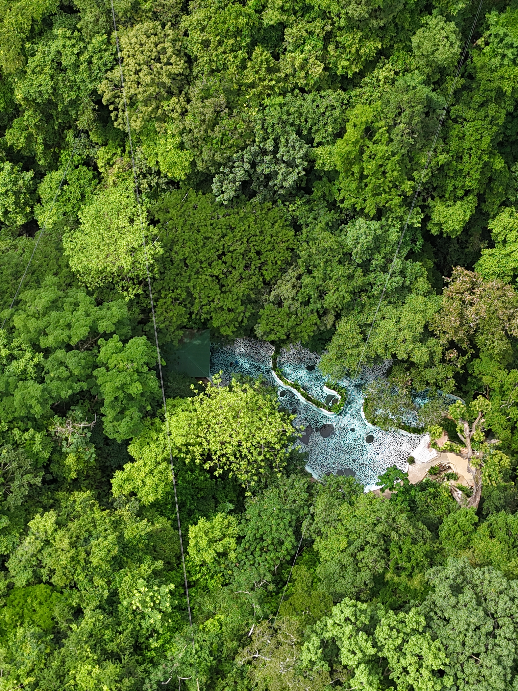 Aerial view of dense green forest with a small blue river winding through.