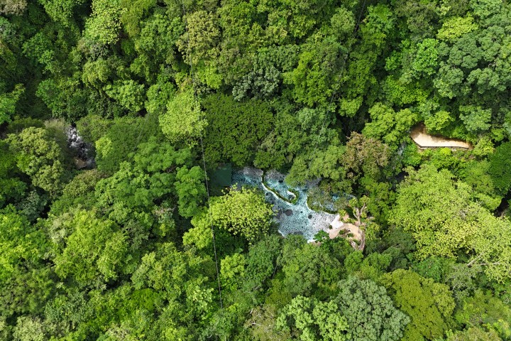 Aerial view of dense green forest with a small blue river winding through.