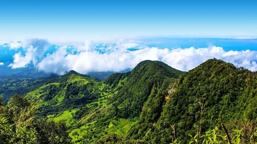 a view of a mountain