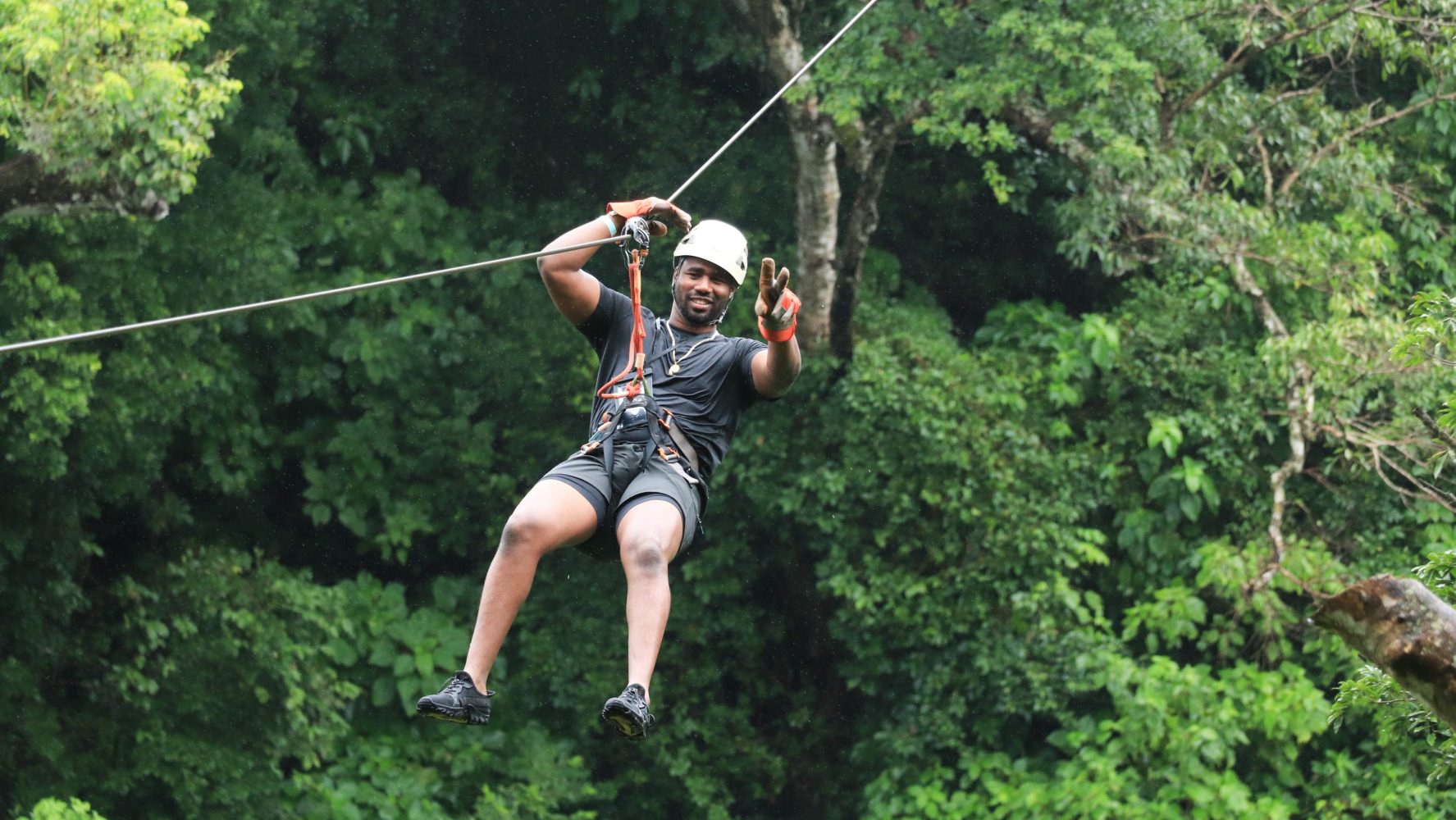 a man riding on top of a tree