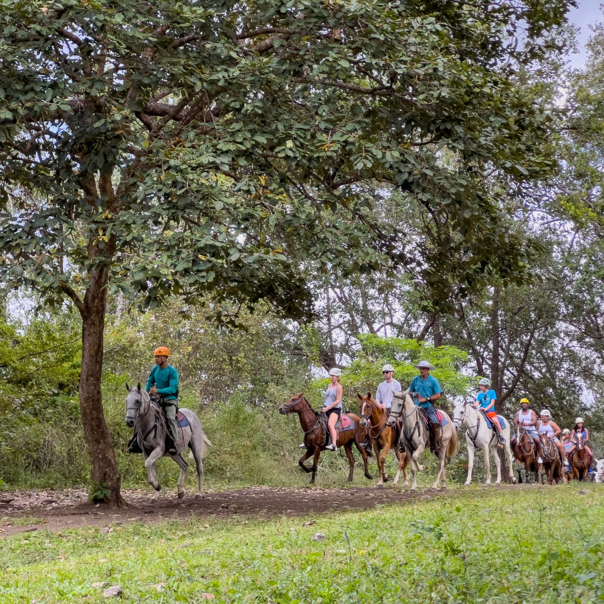 a group of people riding on the back of a horse