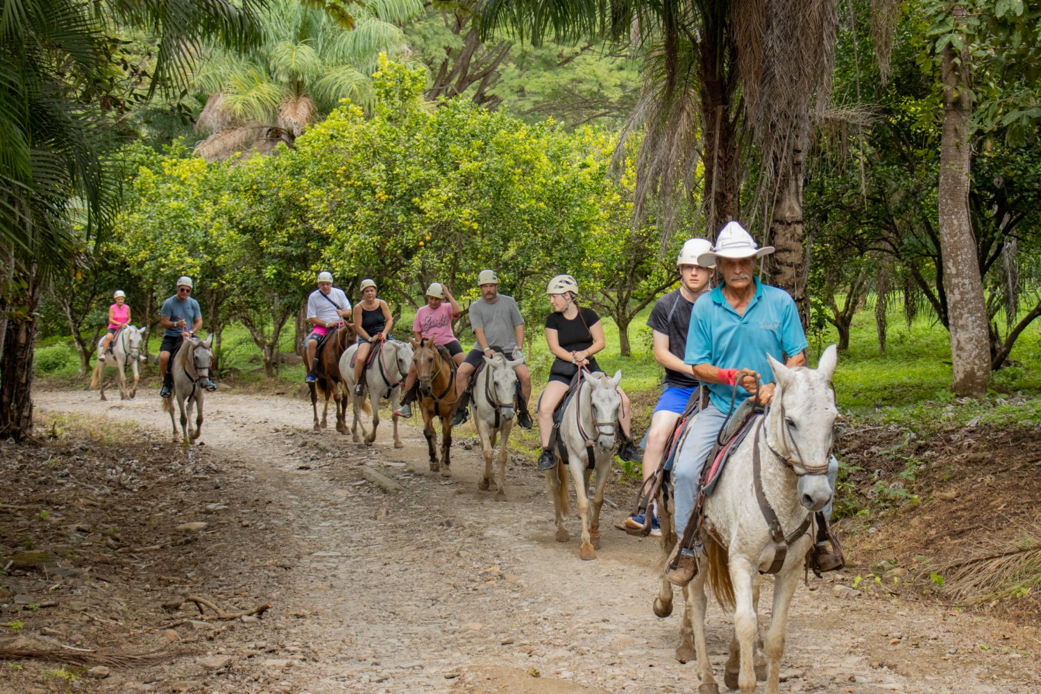 Group of people riding horses on a forest trail.