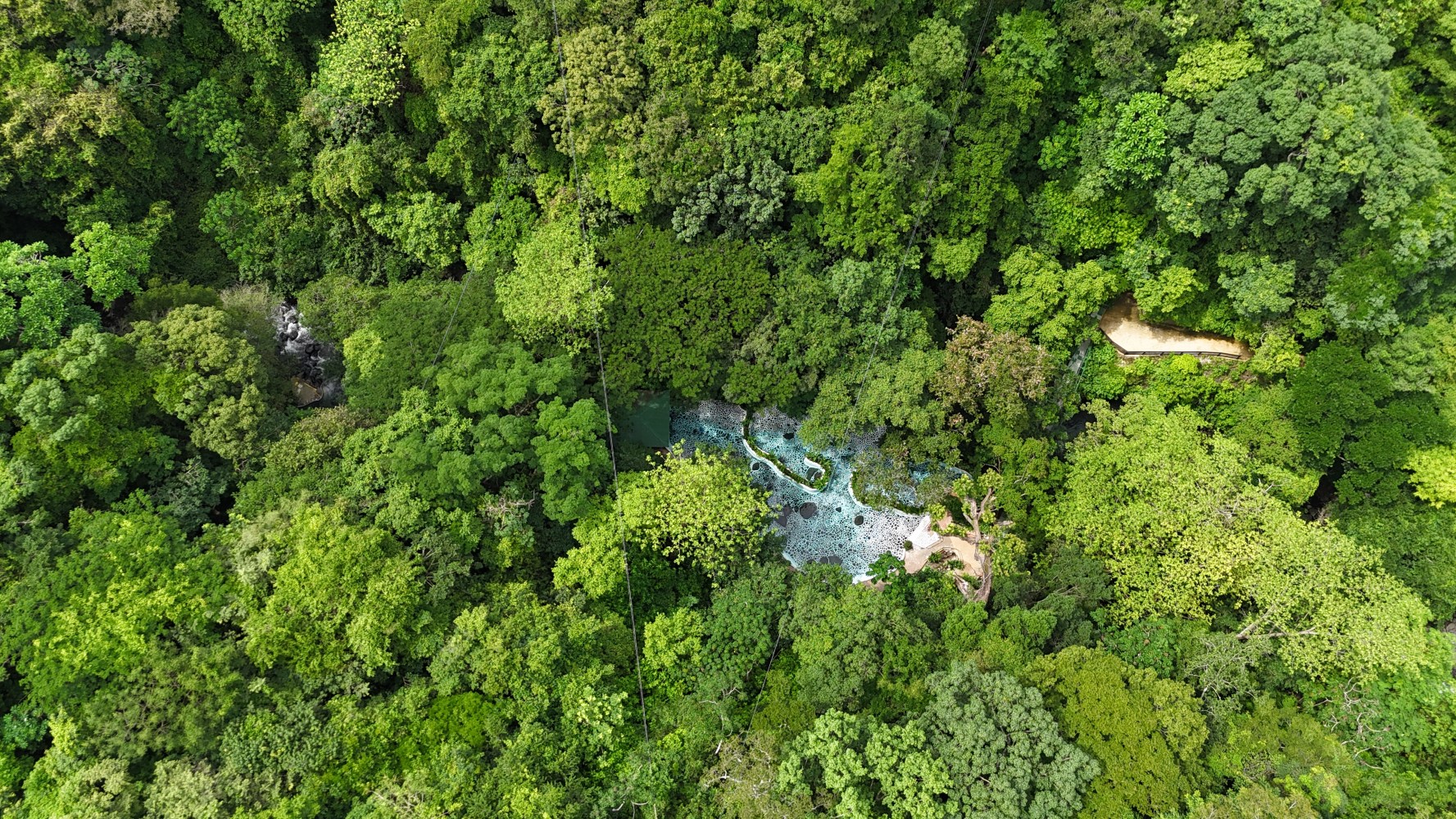 Aerial view of dense green forest with a small river flowing through the center.